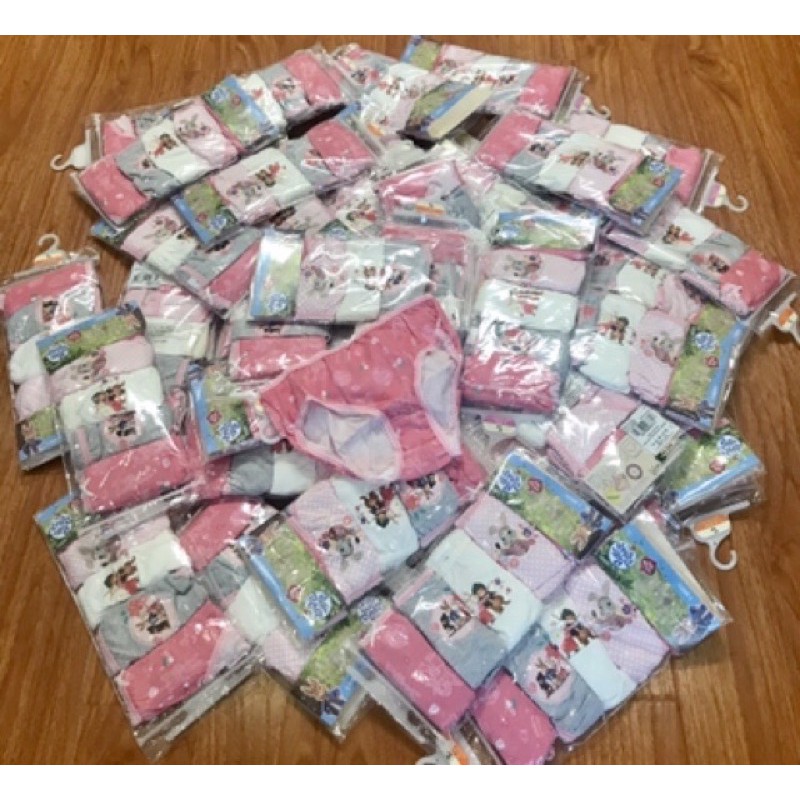 Set 5 quần chip thỏ xinh săn Tu Uk size 3-4y, 4-5y ( form nhỏ 10-12kg, 11-13kg)