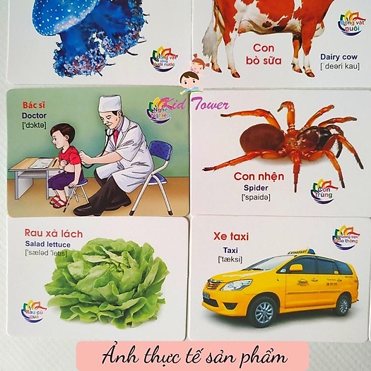 * FLASHCARDS * Bộ thẻ học thông minh 16 chủ đề song ngữ Anh Việt cho bé