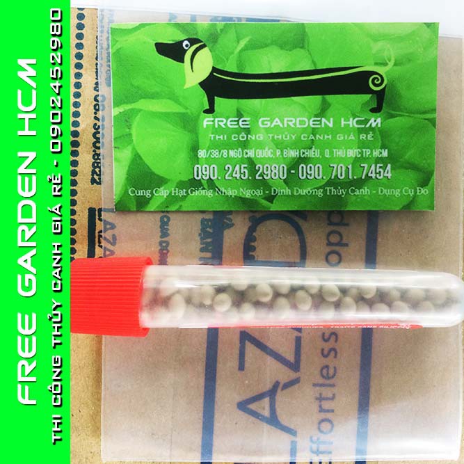COMBO 100 HẠT GIỐNG XÀ LÁCH MUIR – Johnny’s Seed – Mỹ