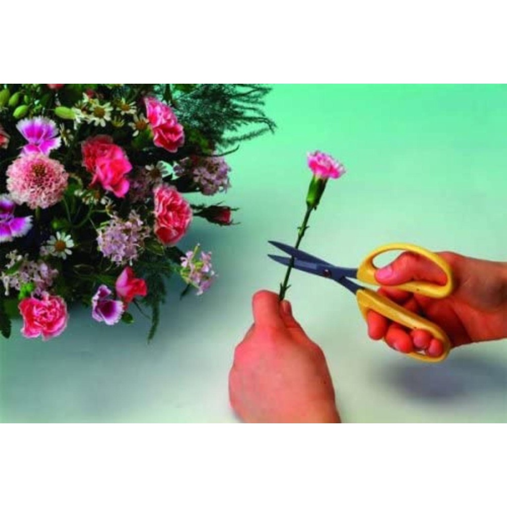 Kéo cắt cành cây Chikamasa CRI-360SFY