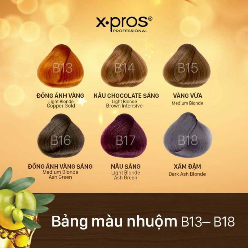 Kem nhuộm tóc cao cấp X.pros premium B10-B24 60ml