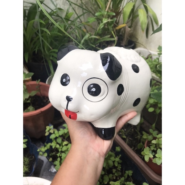 Heo đất chó đóm trắng L