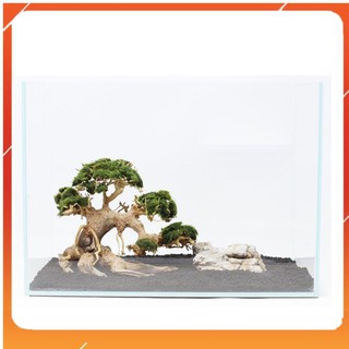 Lũa Bonsai mini cho bể cá thủy sinh