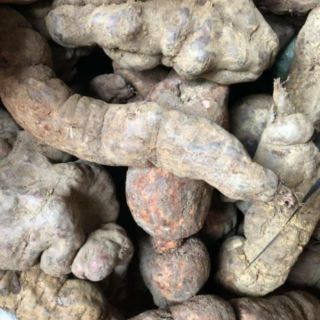 1kg Túi zip Hà Thủ Ô trắng