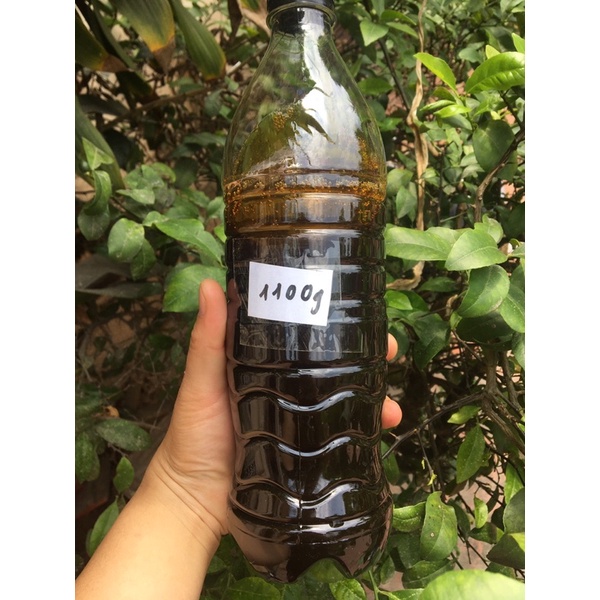 Mật mía nghệ an nguyên chất