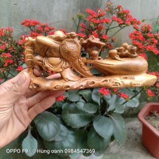 Di lặc gỗ bách xanh
