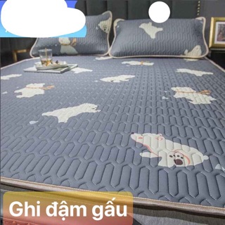 [ SALE SỐC RẺ VÔ ĐỊCH] CHIẾU ĐIỀU HOÀ TENCEL MỦ CAO SU NON