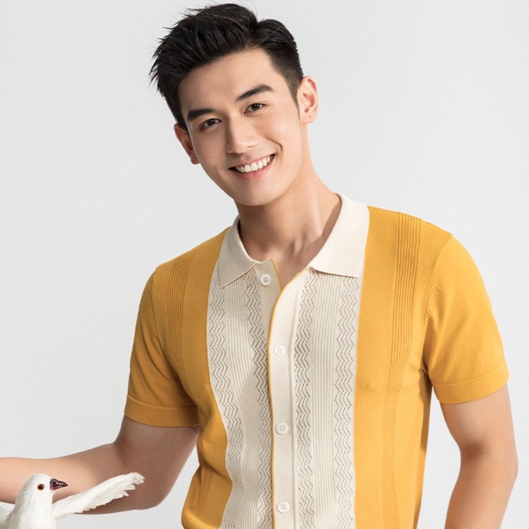 Áo polo Hàn Quốc, áo polo nam PL03 vải lụa dệt kim cao cấp