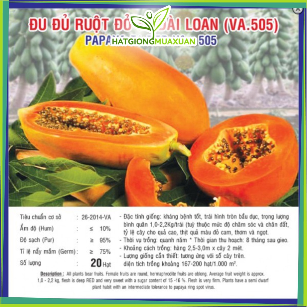 Đu đủ ruột đỏ, quả to, ngọt số lượng hạt/gói: 5 hạt