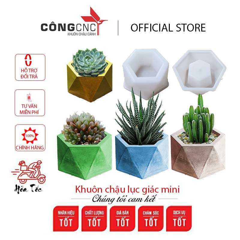 Khuôn Chậu Đúc Chậu Cảnh Mini [Mới] Phù Hợp Trồng Cây Sen Đá Để Bàn