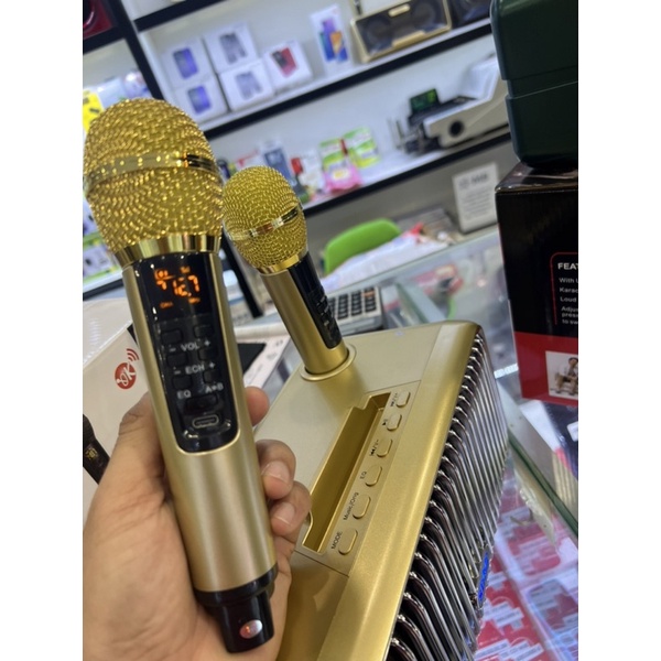 Loa Karaoke SDRD SD 319 Tặng Kèm 2 Mic Không Dây Cao Cắp