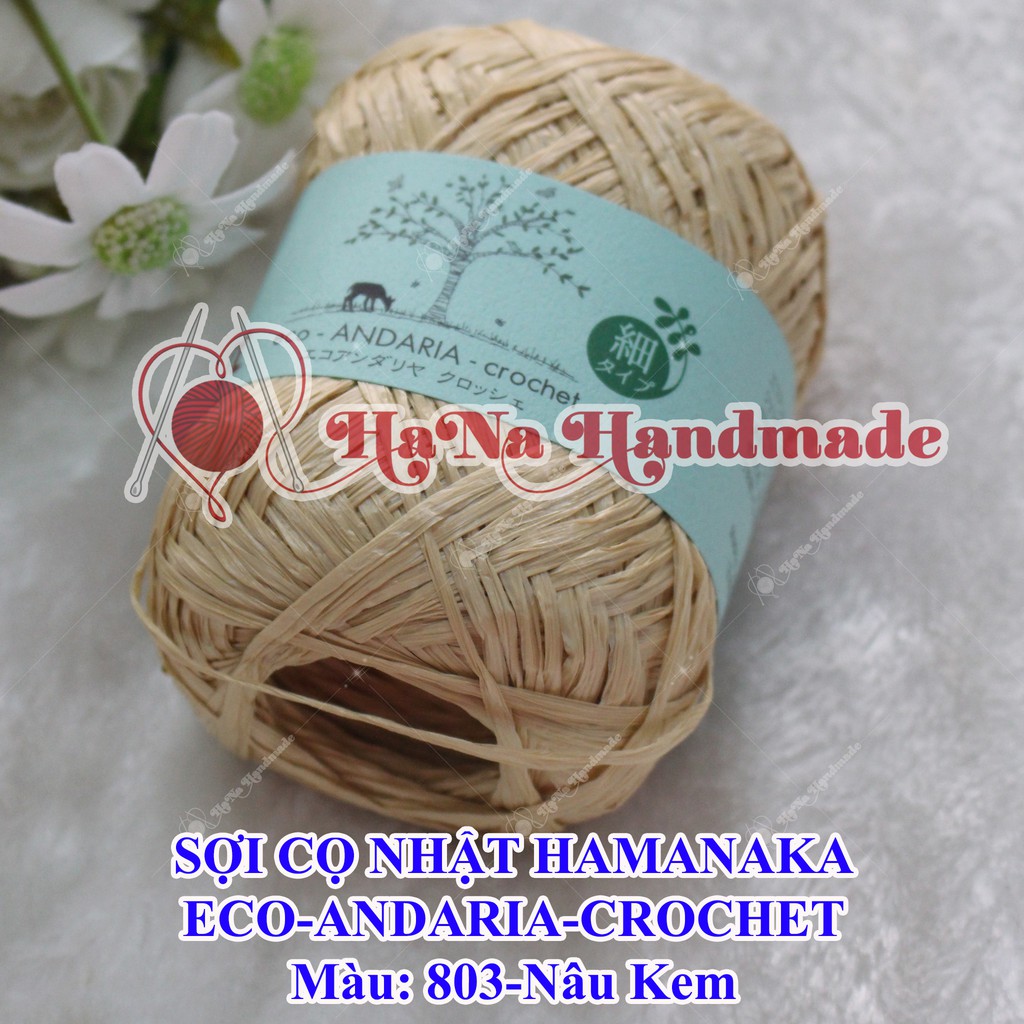 Sợi Cọ Nhật Hamanaka Eco Andaria Crochet