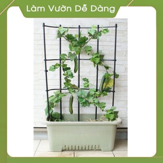 (DEAL SỐC) Khung Đỡ, Giá Đỡ Hoa Hồng Leo KHUNG LEO ĐA NĂNG