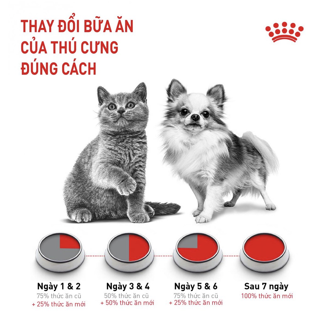 Hạt cho chó lớn Simba italy 1kg 4kg, thức ăn vị gà bò cho cún trưởng thành lớn Con Mèo Xiêm Shop