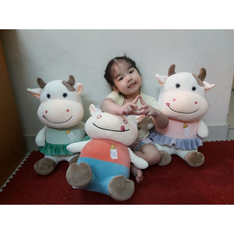 Trâu mặc áo bình sữa