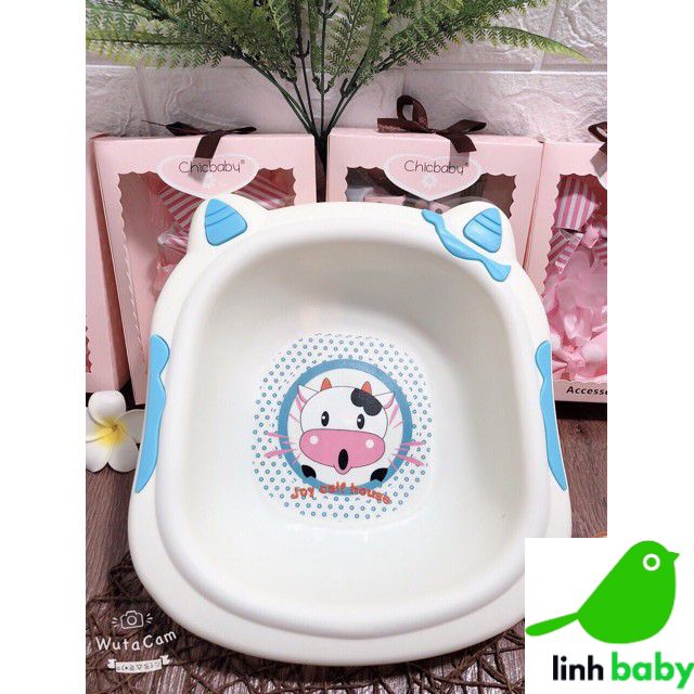 Chậu rửa mặt hình bò sữa.