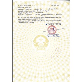 Kẹo Mầm Lúa Mạch Gold (Chính Hãng)