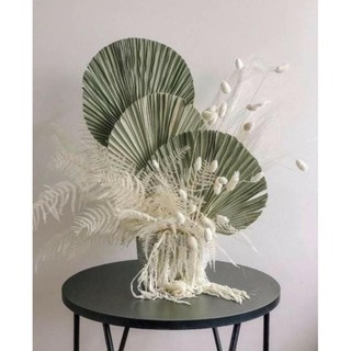 Lá cọ tự nhiên trang trí