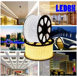 1m Đèn led dây 3014 màuTrắng 220V cuộn 100m loại có 120 mắt led – Home-3014-120D/M-W