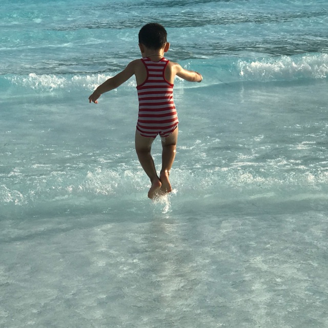 Zen'Shop -Squishy - Hàng Order