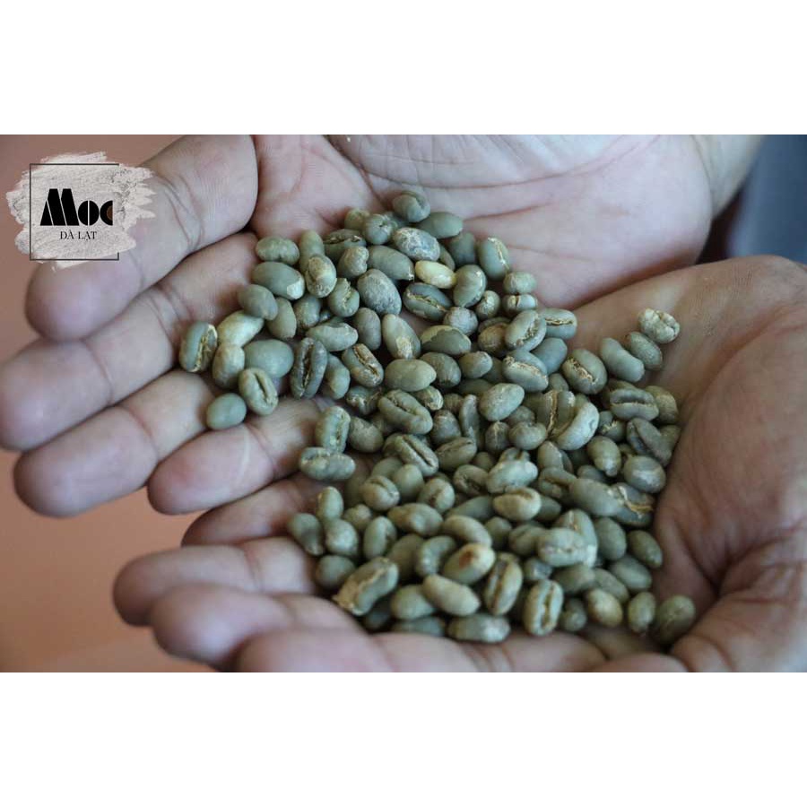 Cà phê MỘC SỨC SỐNG (Bột) - 500g - 100% Robusta và Arabica - Rang mộc, nguyên chất 100% - Nói không với tẩm ướp và hóa c | BigBuy360 - bigbuy360.vn