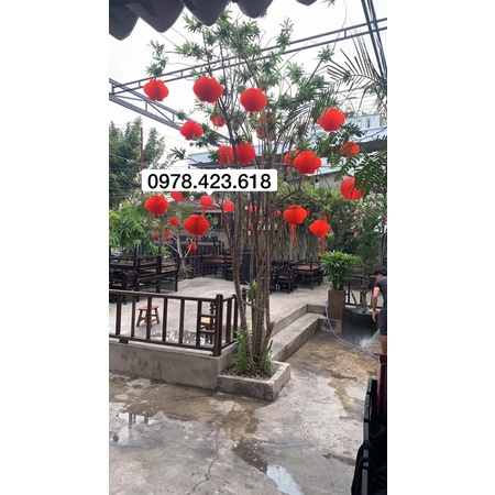 Lồng đèn đỏ chữ Phúc Cực Dày  trang trí Tết chúc mừng năm mới - Đèn lồng đỏ nilon chống nước