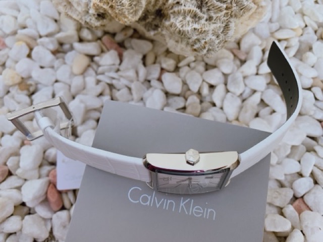 Đồng hồ nam Calvin Klein K2M21120 Thuỵ Sĩ - Kính cứng - Chống nước 30m - size 46mm chính hãng | WebRaoVat - webraovat.net.vn