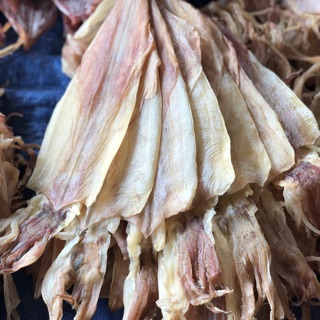 Mực câu Cát Bà 18-20 con cực ngọt mềm