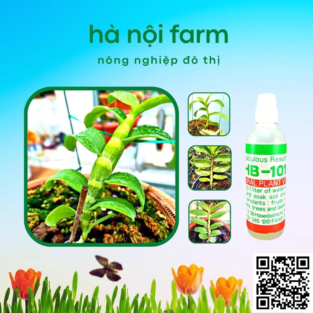 Thuốc kích rễ HB-101 Nhật bản Flora Plant Vitalizer 6ml - Tăng trưởng mạnh