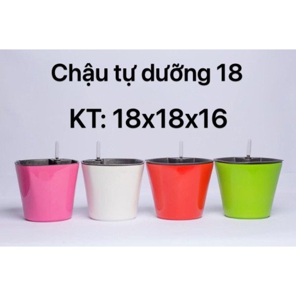 Chậu thông minh tự dưỡng, Trồng cây nội thất để bàn, tự tưới thẩm thấu, có phao báo nước, nhựa cao cấp an toàn 18x18x16