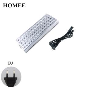 Đèn LED trồng cây trong nhà