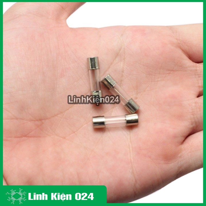 Cầu Chì Ống 5x20mm 250V Đủ Loại