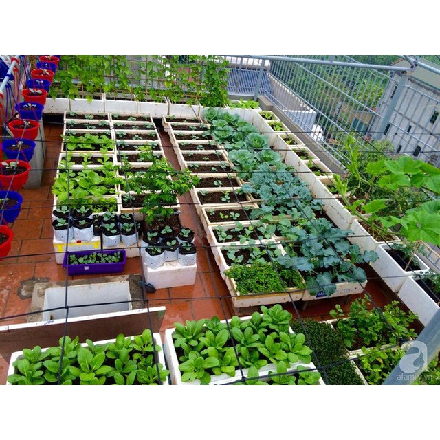 1 BAO 20DM3 Đất siêu thịt ViSinh 10-12kg/bao.200ktặngdịchtrùn SHIP 30 PHÚT KHO QUẬN 11,7,9,THỦĐỨC,PHÚNHUẬN