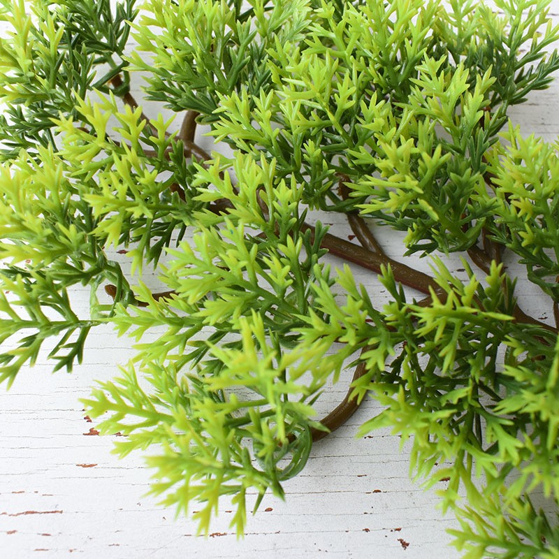 Mô hình lá Tùng bách  - Tráng trí gỗ, lũa bonsai tuyệt đẹp - Hàng chất lượng cao, màu tự nhiên.