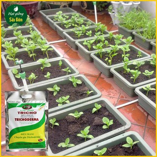 CHẾ PHẨM MEN VI SINH NẤM TRICHODERMA LOẠI 1KG