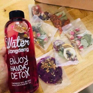 ( CHUYÊN SỈ SL )Bình nước PONGDANG NHỰA 1 lít