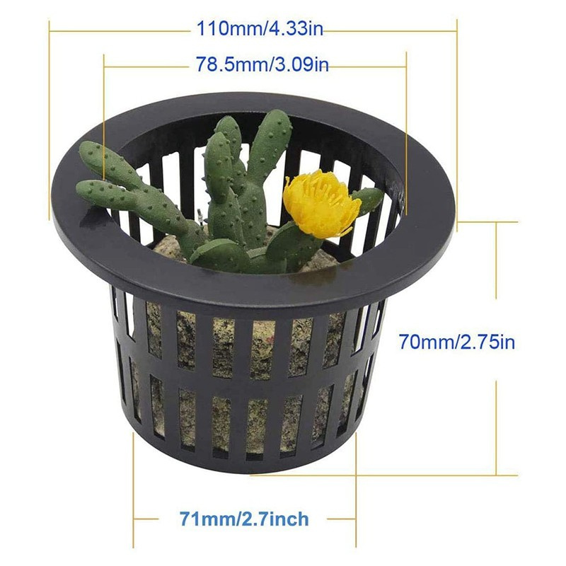 Bộ 20 Chậu Nhựa Trồng Cây Thủy Canh Màu Đen 4.33 Inch