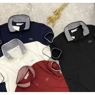 3kg combo áo polo xuất khẩu ttth1