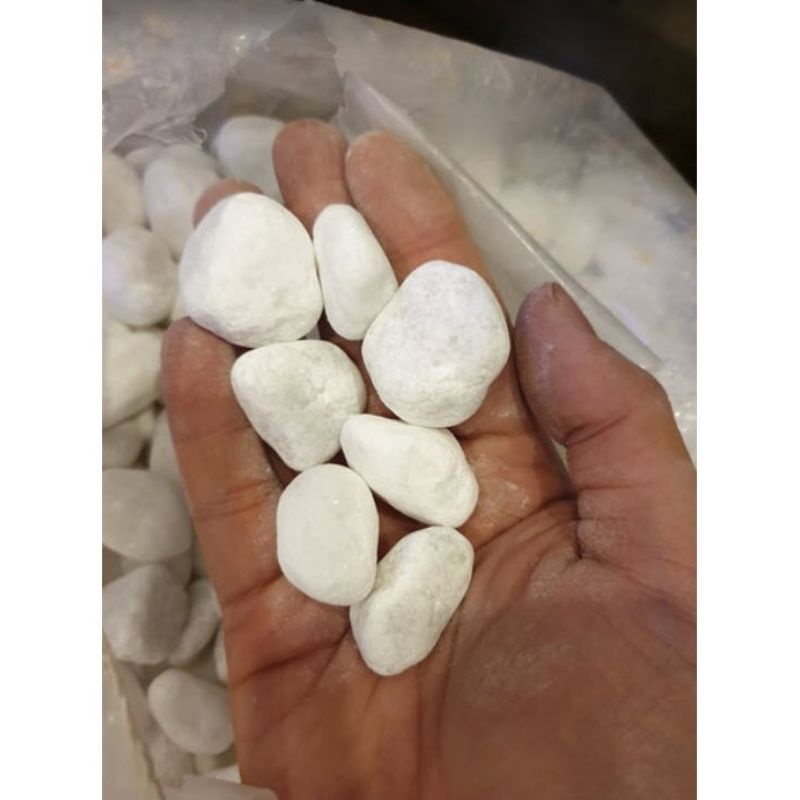 1kg sỏi trắng trang trí bể cá, chậu cảnh ....
