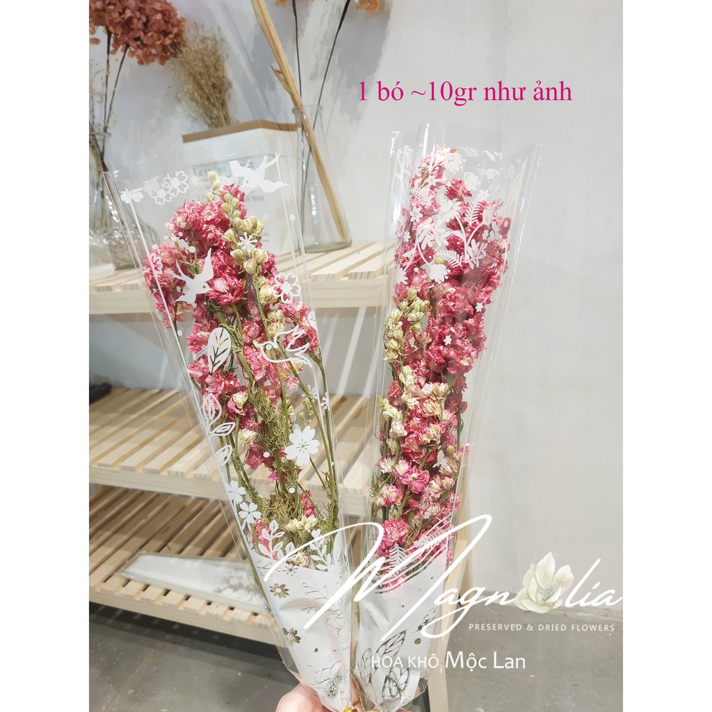 Hoa khô 🍁FREESHIP🍁 Phi Yến khô trang trí phong cách Bắc Âu vintage cổ điển