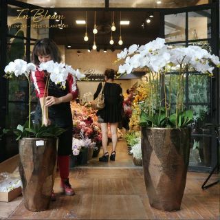 Hoa giả - Hoa lan hồ điệp cao su 9bông - trang trí nhà cửa