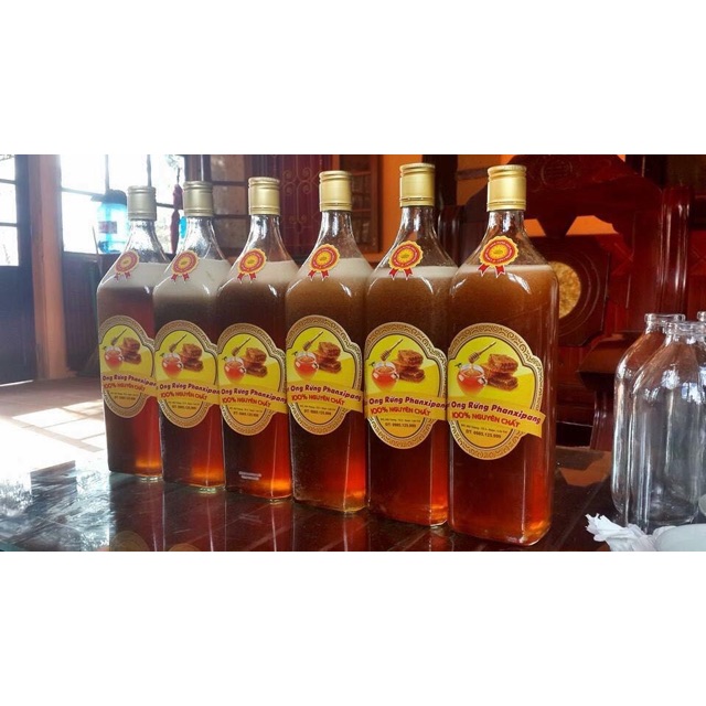 combo 10 chai vuông 1 lít