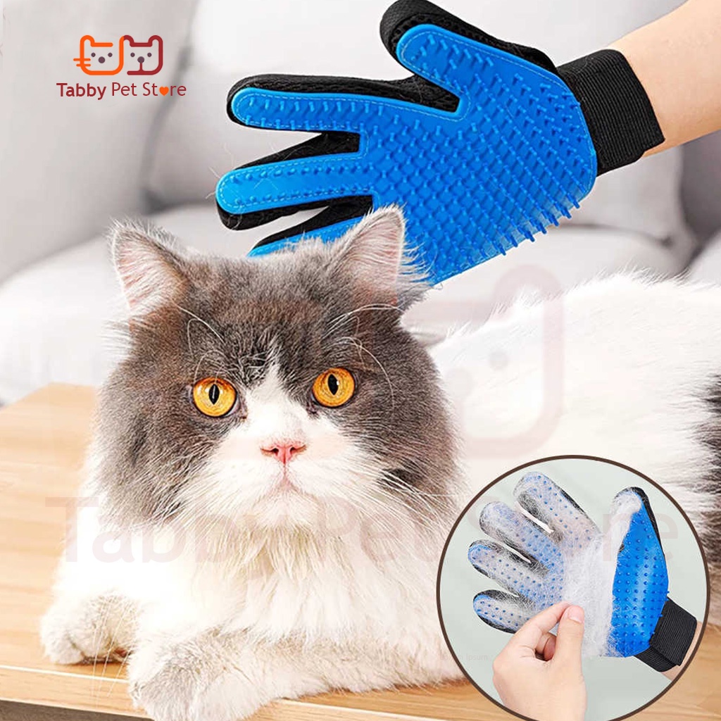 Găng tay chải lông mèo chó thú cưng quần áo Tabby Pet Store