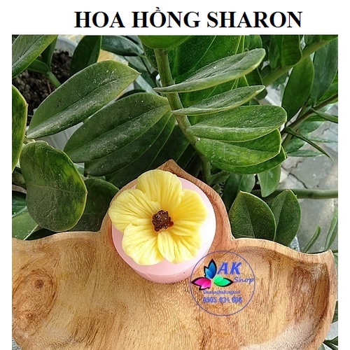 KHUÔN SILLICON HOA HỒNG SHARON