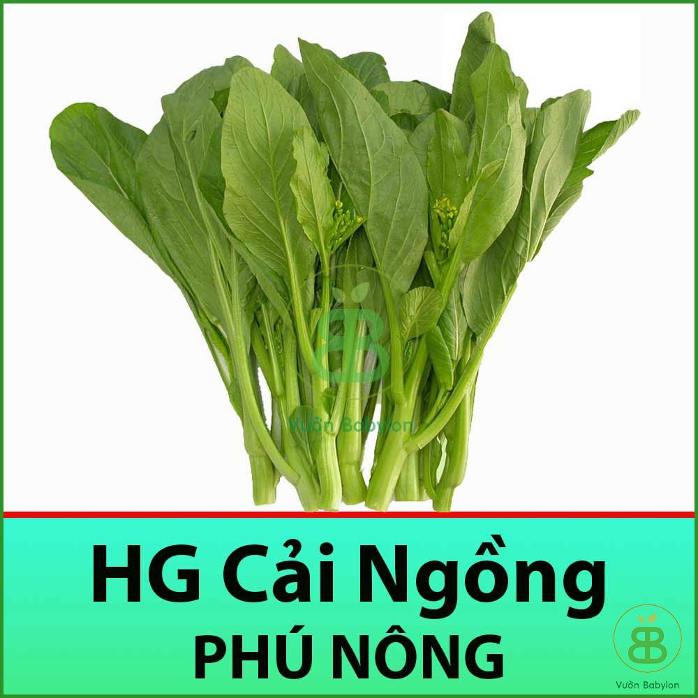 Hạt Giống Cải Ngồng Mập (Cải Ngọt Ăn Bông) 20Gr