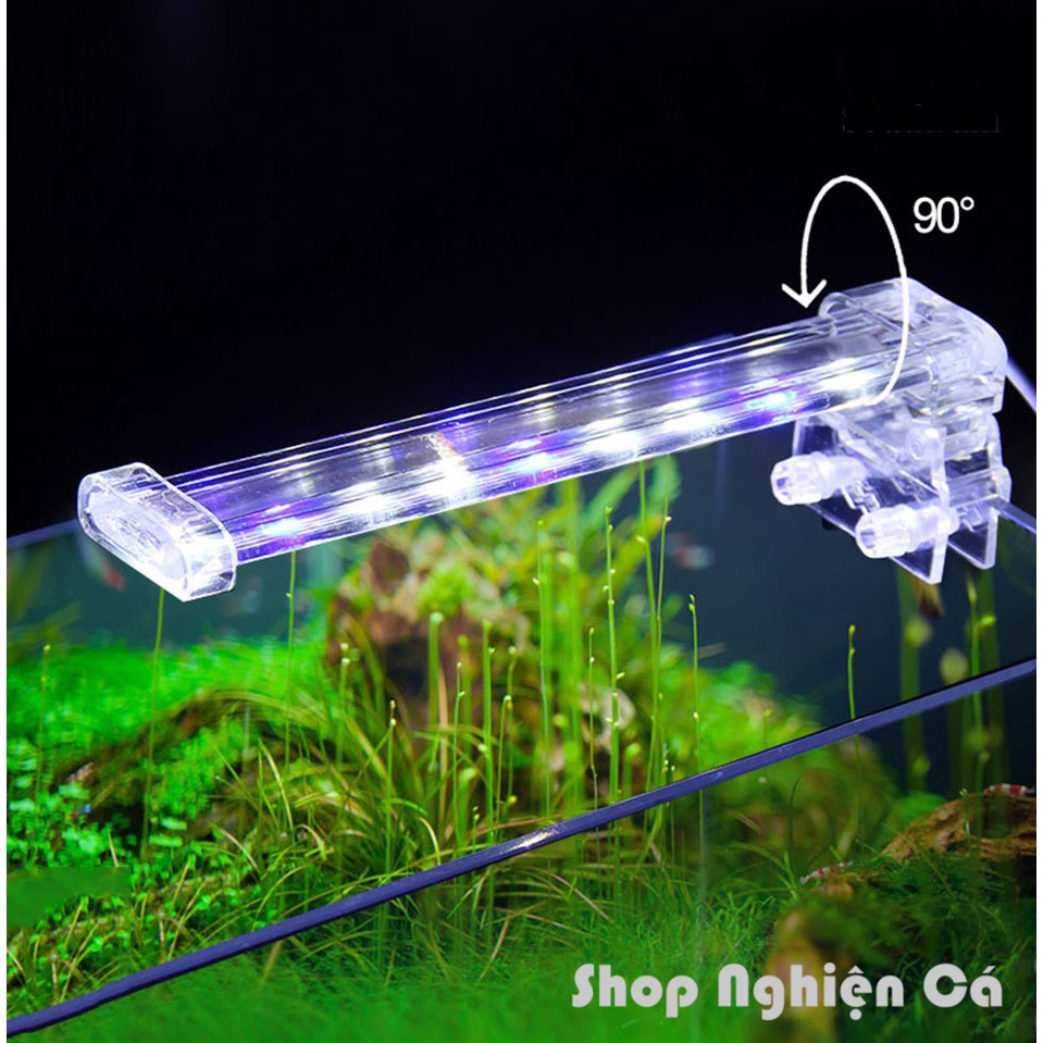 Đèn led kẹp bể cá D20 D30 Có công tắc tắt bật