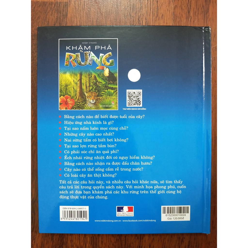 Sách Tranh - Khám phá rừng - NXB Kim Đồng