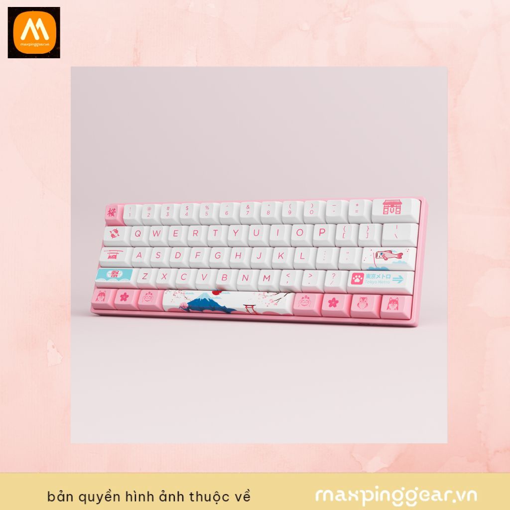 Bàn phím cơ AKKO 3068B Plus World Tour Tokyo R2