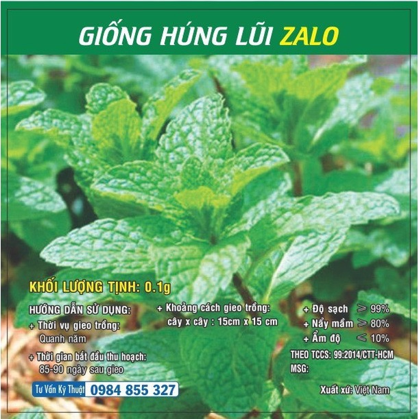 Hạt giống rau Húng Lũi TN
