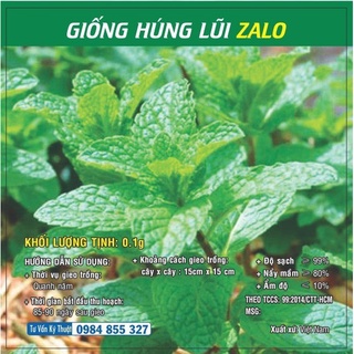 Hạt giống rau Húng Lũi TN
